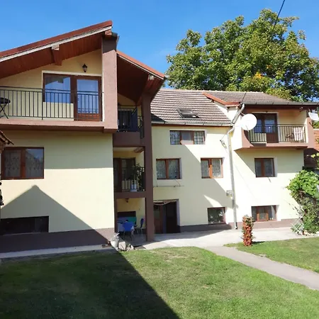 Casă la țară Casa Dani Sibisel (Rau de Mori, Hunedoara)