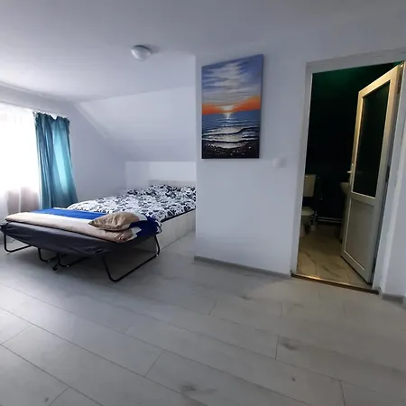 Casă la țară Casa Dani Sibisel (Rau de Mori, Hunedoara)