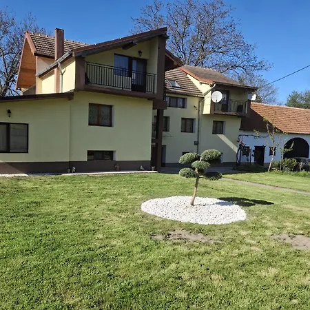 Casa Dani Sibisel (Rau de Mori, Hunedoara)